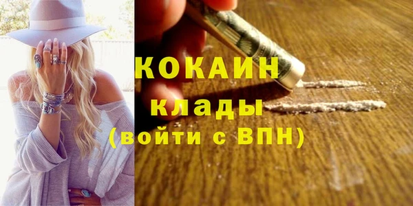ПСИЛОЦИБИНОВЫЕ ГРИБЫ Белоозёрский