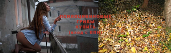 спайс Богородск