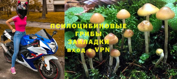 ПСИЛОЦИБИНОВЫЕ ГРИБЫ Белоозёрский