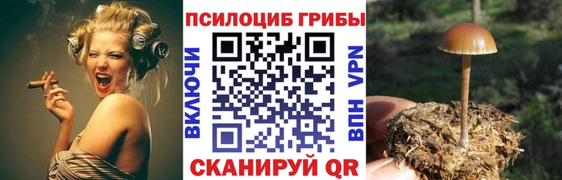 Псилоцибиновые грибы ЛСД  Купить где  Протвино 